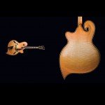 Monteleone Guitar_2